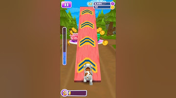 Dog Run puppy racing gameplay android