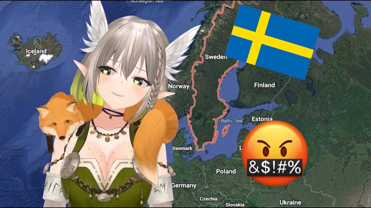 VIKING TEACHES CHAT SWEDISH