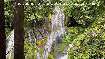 SCI 207 Week 5   Nature Experience Project