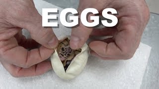 First Egg Cutting Video Of 2020 !! Finally Clowns !!