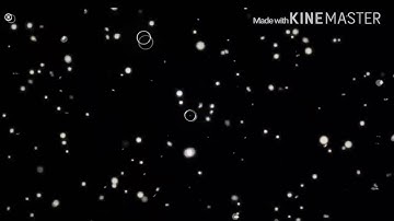 Special! 20Th Subs! NEW 3D SHOCKWAVE INTRO!