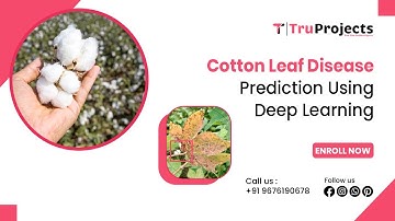 Cotton Leaf Disease Prediction Using Deep Learning   best btech mtech deep learning projects