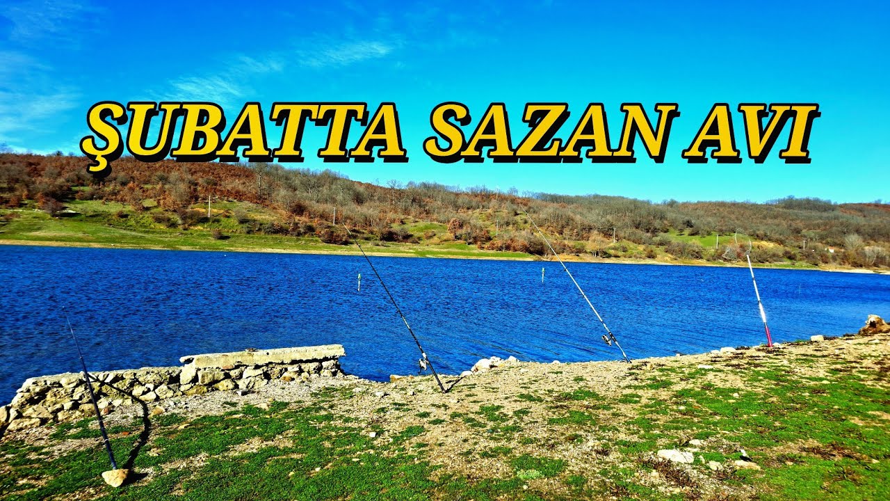 LODOSLU HAVADA SAZAN AVI #sazanavı #carpfishing #pikefishing #carp