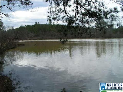 6961 LOWETOWN RD, Mccalla, AL home video tour