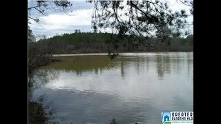 Homes for sale - 6961 LOWETOWN RD MCCALLA AL 35111
