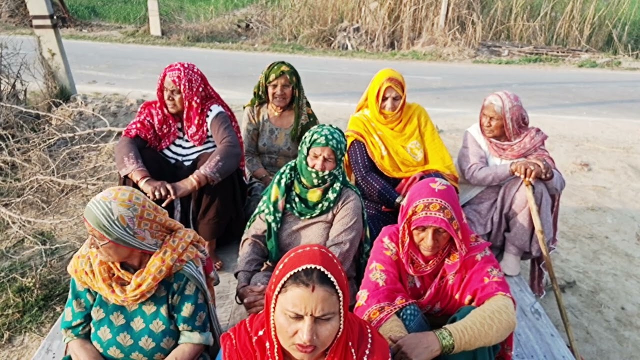 228Haryanvi बन्दङा स्पेशल ||बना फेरां पै बन्दङी रे धिरे चले ||ज्यादा गुस्सा मत ठाईयो मारे लाडले 