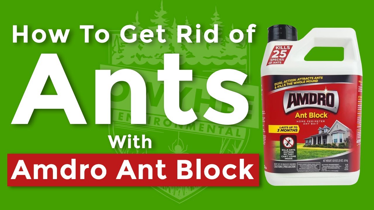 Get Rid Of Ants In A Week With Amdro Ant Block