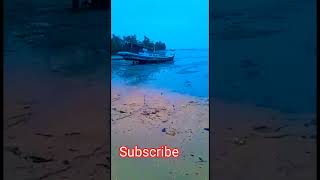 Pantai Padi Pangkal Pinang Pulau Bangkashorts
