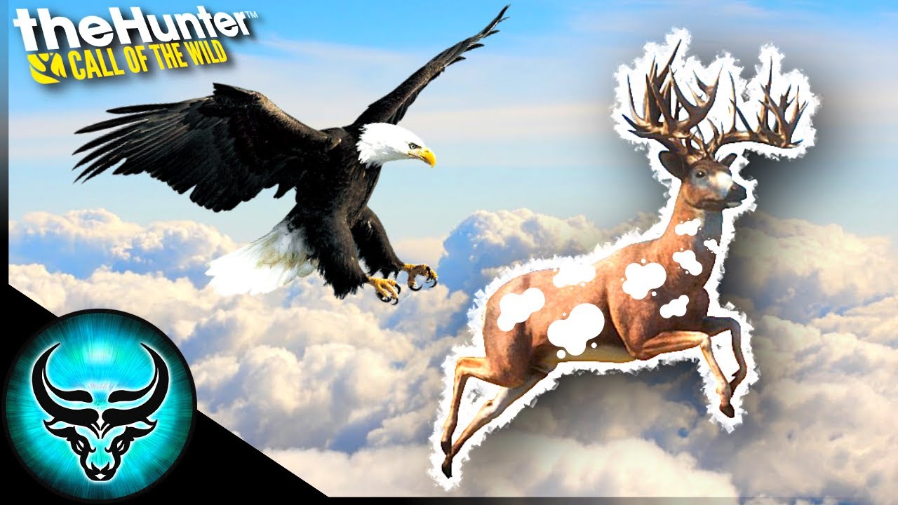 Congrats on your Piebald Great One Episode 1 Call of the Wild YouTube