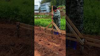 Traditional Multi-Pronged Ridge Plotting: Furrow Marking in Fresh Soil! 🌿🚜 #farmoratv #nature #asmr