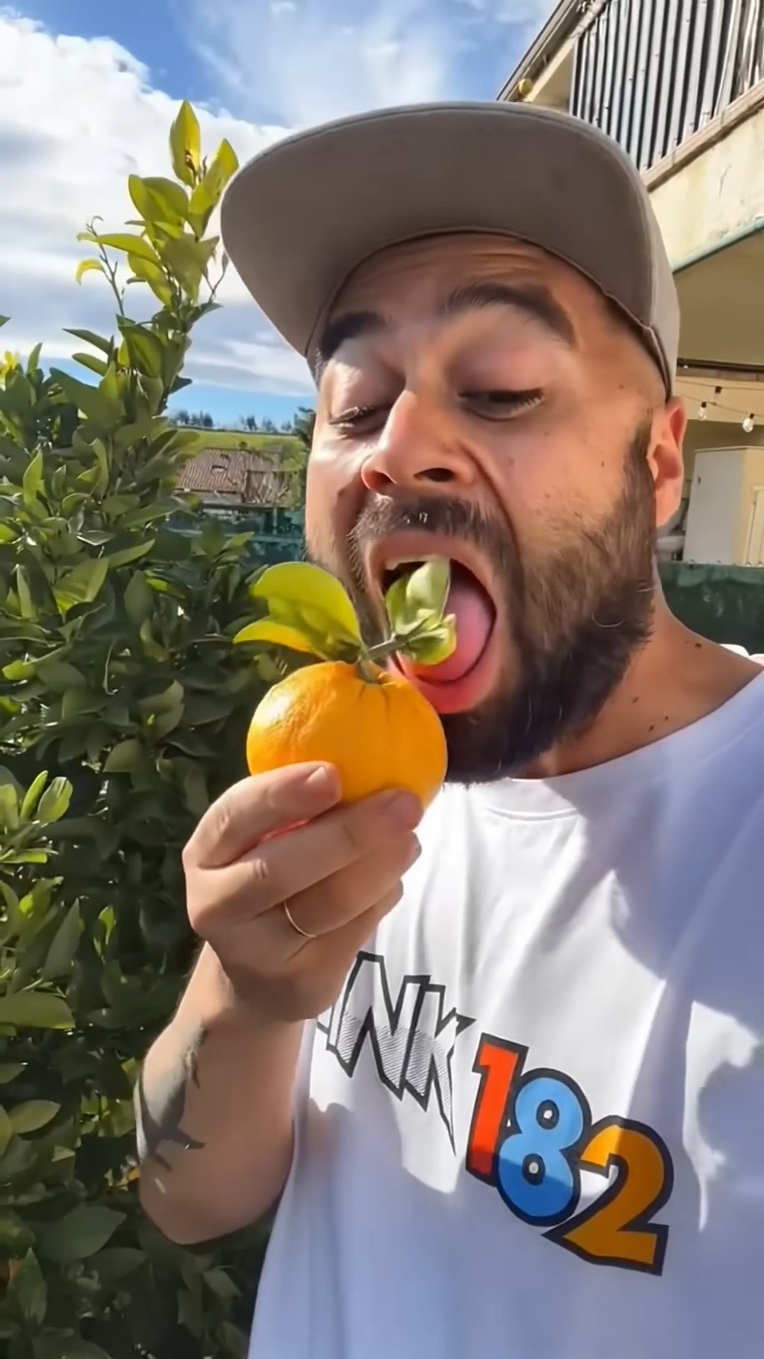 Want to try my oranges?🍊🍉🥝💥 - YouTube