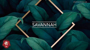 "Savannah" - Dancehall Pop Type Beat | Afrobeat Lil Dicky | Positive Earth Instrumental 2023