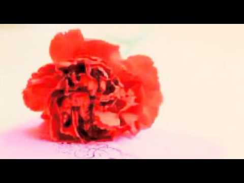 [everysing] Romanticが止まらない
