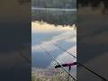 Ждём Поклевку!🐋#fishing #фидер #рыбалка #река #youtube #youtubeshort #природа #москварека #carp