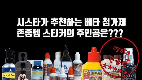 [물생활] 열대어 베타피쉬 컨디셔너 존좋템 제품은?