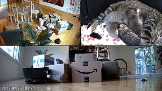 Mailbag Saturday 29th July.