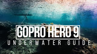 GOPRO HERO 9 UNDERWATER  [Settings and Tips 2022] by Ryuta Ogawa 27,224 views 3 years ago 9 minutes, 11 seconds