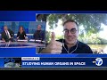 SpaceX rocket takes mini human organs to space station to unlock secrets of aging