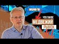 Что такое МЕДВЕЖИЙ РЫНОК?