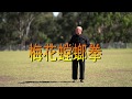 Learn Kung fu 2021 -  you can learn Meihua Praying Mantis Kung Fu from Shifu Daniel Wang