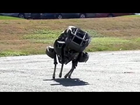 القط الوحشي يقوم بما تعجز عنه الروبوتات الأخرى