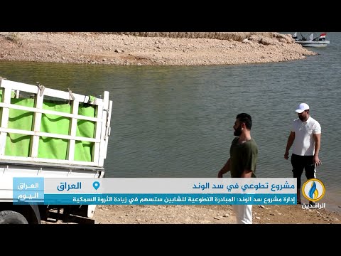 تقرير إخباري شابان في قضاء خانقين يطلقان مبادرة لإعادة إحياء الثروة السمكية بسد الوند بديالى