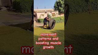 movement patterns and boosting muscle growth shorts