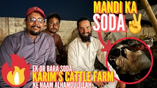 🔥Mandi Ka 2nd Soda Ho Gaya🔥||Alhamdulillah😇||Karim’s Cattle Farm||Northern Bypass Maweshi Mandi 2024