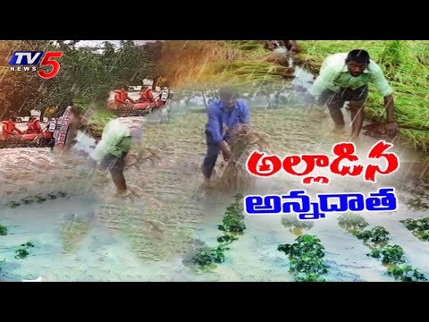 అల్లాడిన అన్నదాత | Telangana Farmers in Distress As Heavy Rains Lash Crops | TV5 News - TV5NEWS