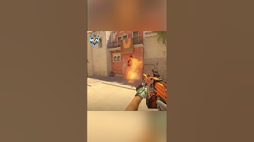 m0NESY Này Có Phải Người Thật Không? | CS2 Funny Moments | MGN Esports