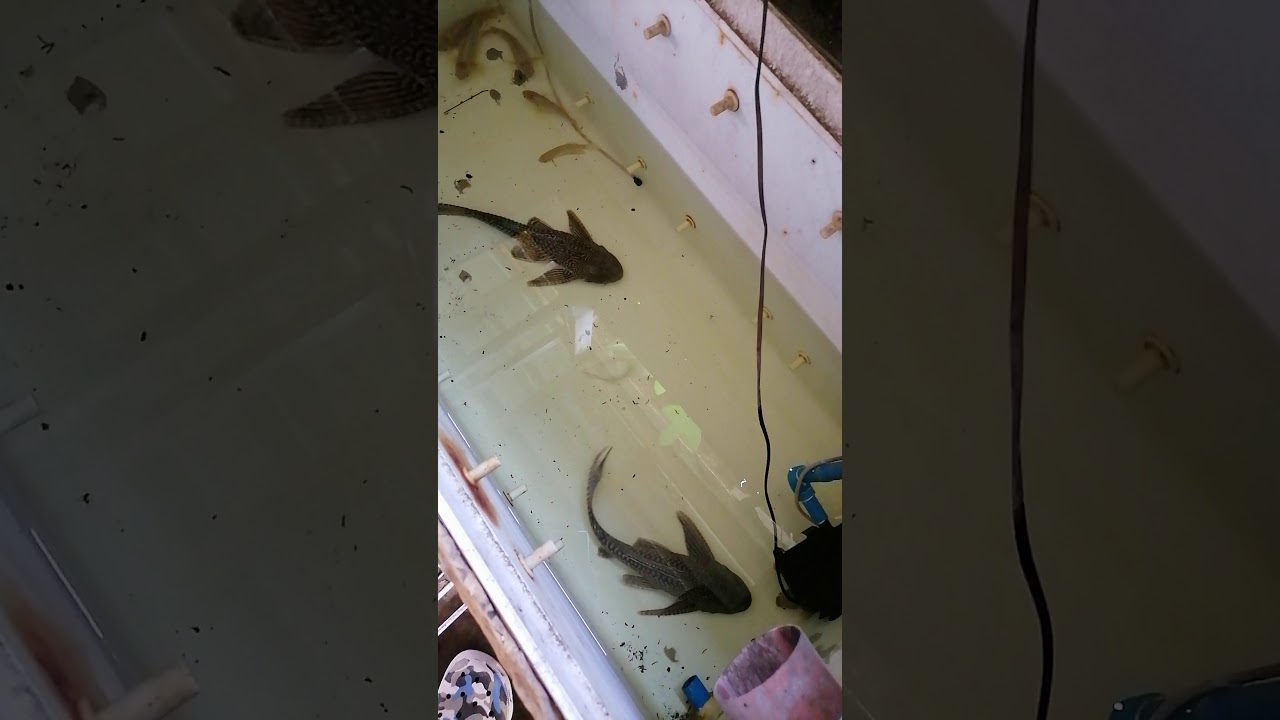 first blog..dondi smith barracks