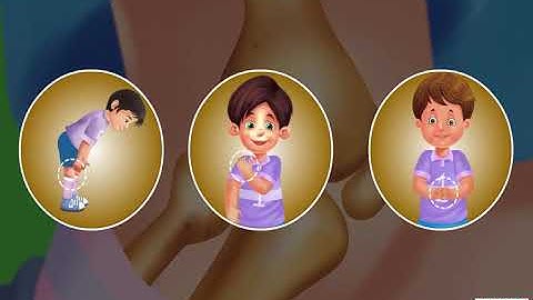 Types of Joints in the Human Body | NCERT Class 6 Science