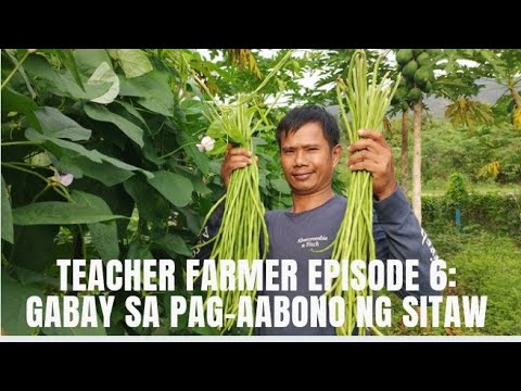 Video: Pag-aani Para sa Mga Nagsisimula: Pag-aani ng Hardin Para sa Mga Unang Paghahardin