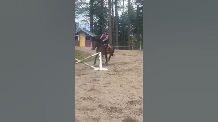 Donna🫶🏻minne ja mille leirille meet ens kesänä?🤭vai meeks ollenkaan?mun vastaus on kom!🫶🏻
