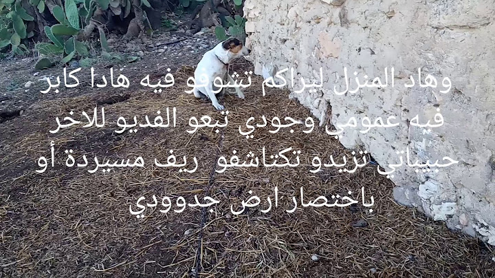 خرجت نحوس أرواحو تشوفو وين رحت وين ديتكم معايا