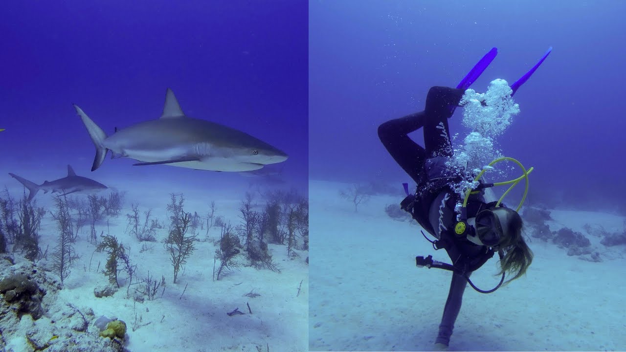 Scuba Diving on your Period? Is it safe? YouTube