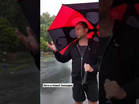 Лето в Новой Зеландии #оклендноваязеландия #shorts #новаязеландия #newzealand