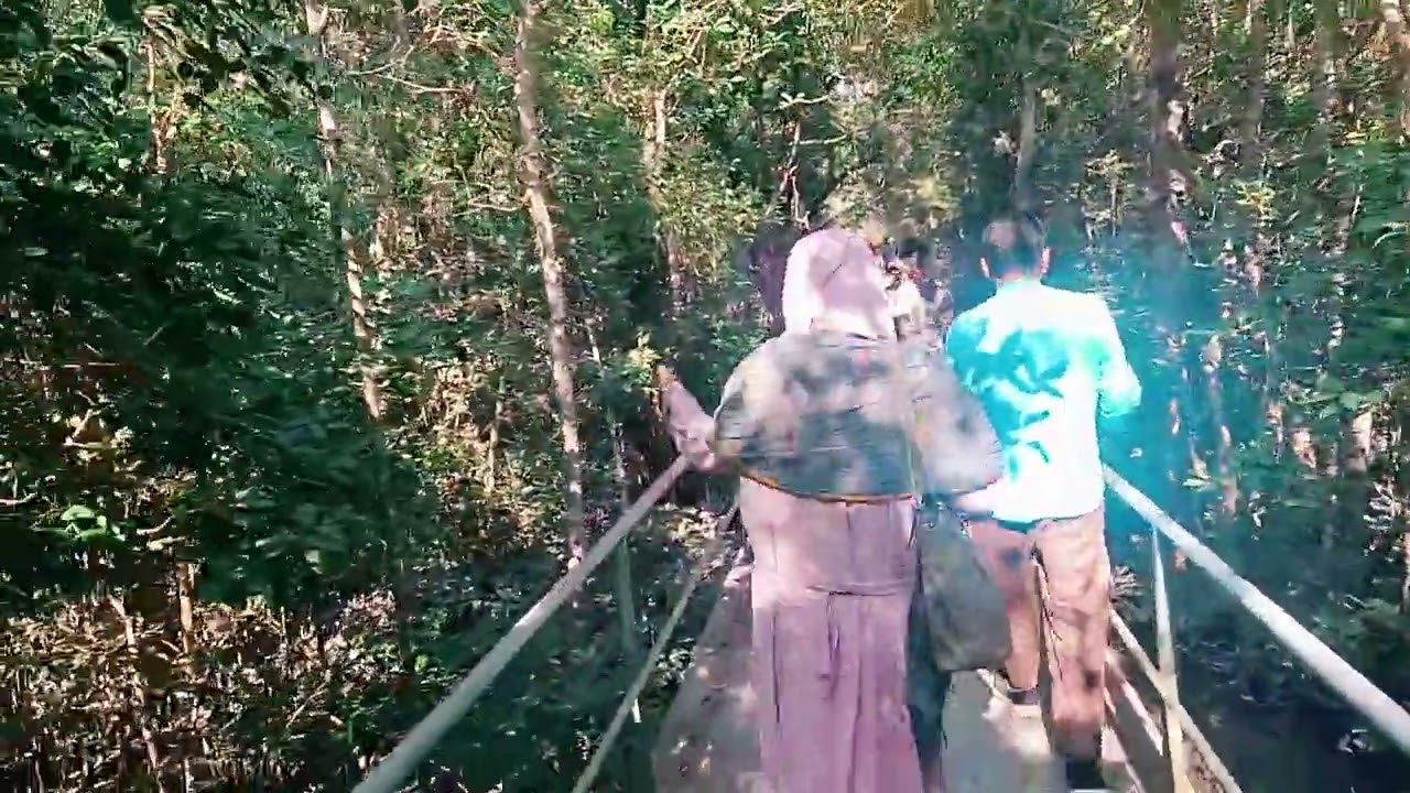 সুন্দরবনের ভিতর কেমন দেখুন।