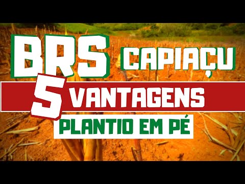 Você deveria saber
