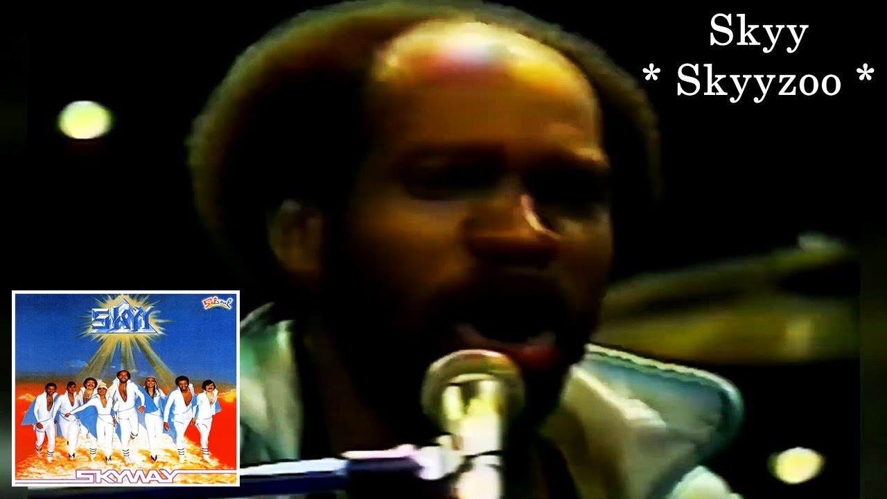SKYY／SKYYJAMMER☆最高傑作盤♪盤面無傷★ My04OTQ1LmpwZWc.jpeg