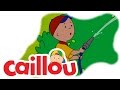 Caillou - Rushing the Raspberry (S05E08) | Cartoon for Kids