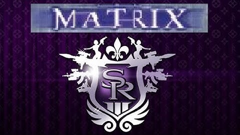 Saints Row Matrix