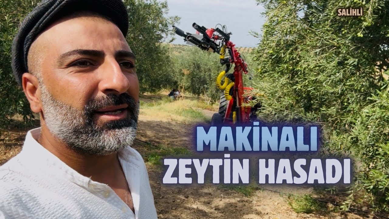 Zeytin Hasadında Makinalı Hasat Nasıl Yapılır?#budama #erenvural #tarım #keşfet 