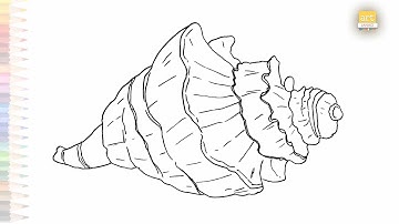 Conch shell drawings | Outline sketches | How to draw A Sea Conch shell step by step #artjanag