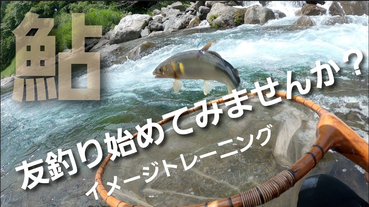 水中のイメージトレーニング①【野アユの動き】編   ・・鮎の友釣りを覚えて生涯の趣味にしませんか？