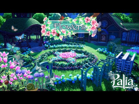 How to grow your Flower Garden - YouTube