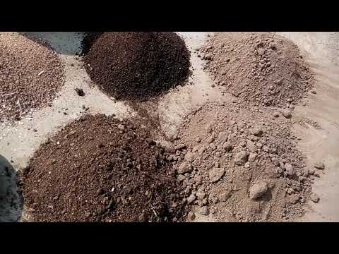 वीडियो: पौधे की वृद्धि के लिए मिट्टी और मिट्टी के कंडीशनर ZeoFlora