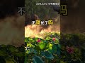 在机遇面前,每个人不妨都精进一步