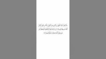 صلاة التراويح ليلة ٧ رمضان ١٤٤٥هـ سورة النساء الآيات من ١٤٨ إلى ١٤٩ الشيخ الوليد الشمسان