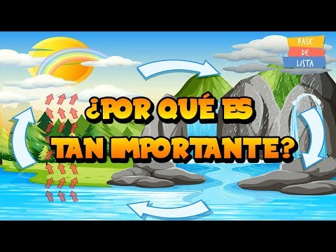 Video: ¿Por qué es importante el ciclo del agua?